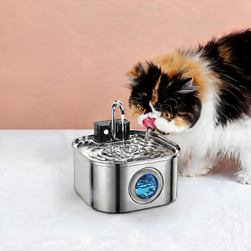 Fontaine à Eau Chat et Chien | 2.5L Inox